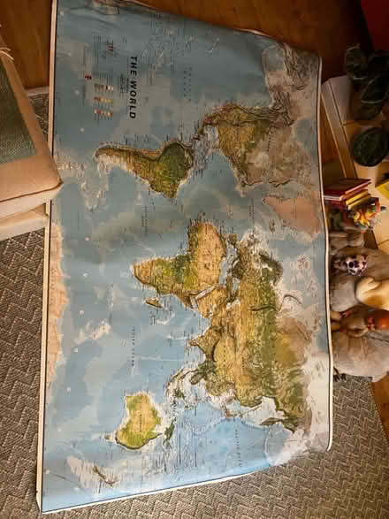 Photo of free Huge map of the world (Catford) #1