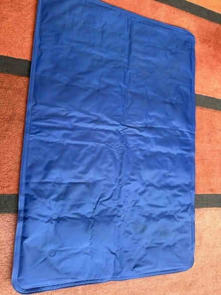 Photo of free Dog cool mat (Whitehall, Darwen) #1