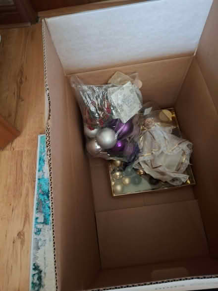 Photo of free Christmas tree (Highfield BL4) #1