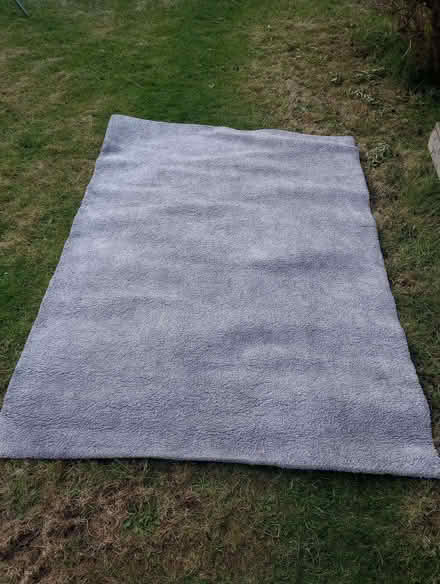 Photo of free Grey rug (Kinghorn KY3) #1
