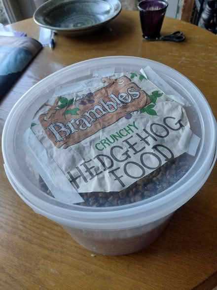 Photo of free Hedgehog food (Cefnsuran Farm LD7) #1