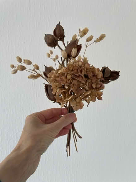 Photo of free Small dried flower posy (BN1) #1