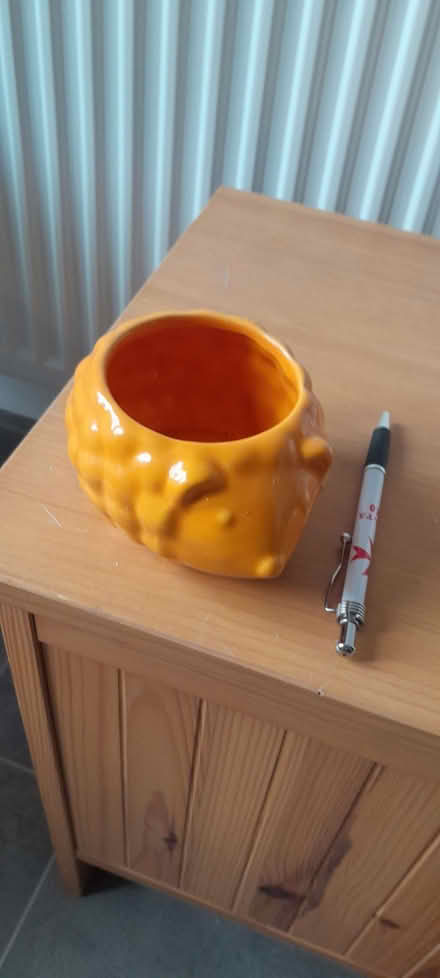Photo of free Small hedgehog pot (CO11) #1