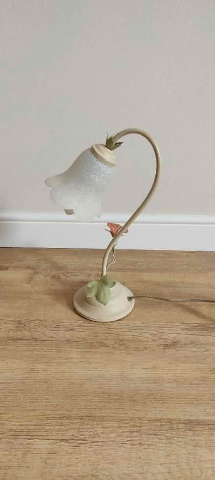 Photo of free Collection of 2 table lamps and 2 ceiling lights (Willingdon BN20) #1