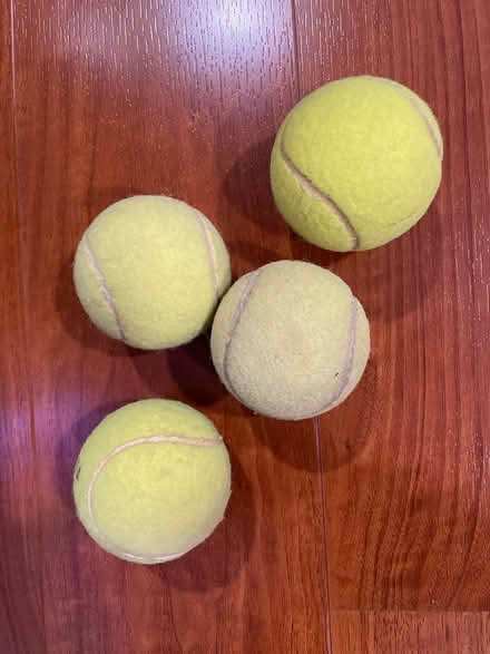 Photo of free Used tennis balls (Downers Grove - north) #1