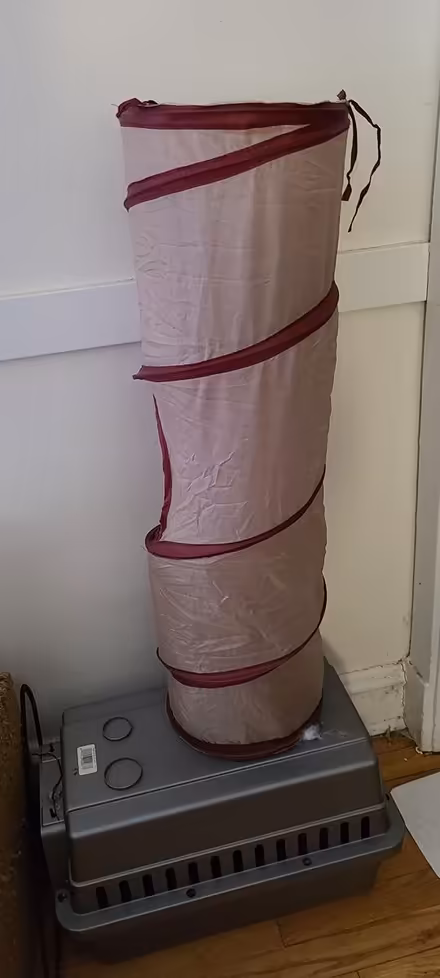 Photo of free Crinkle cat tunnel (South Evanston) #1