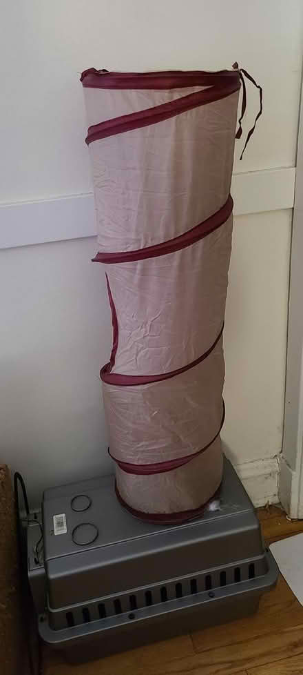 Photo of free Crinkle cat tunnel (South Evanston) #1