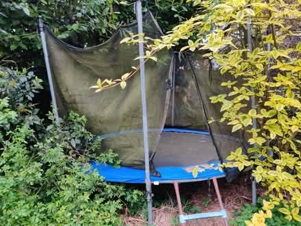 Photo of free Trampoline, 3m (Leckhampton GL53) #1