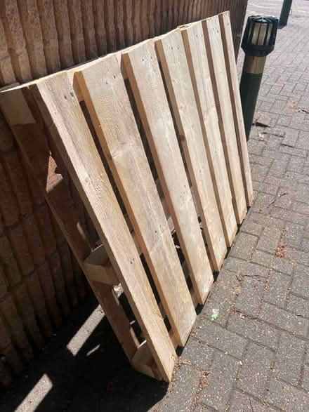 Photo of free Heavy clean pallet (Dronfield S18) #2