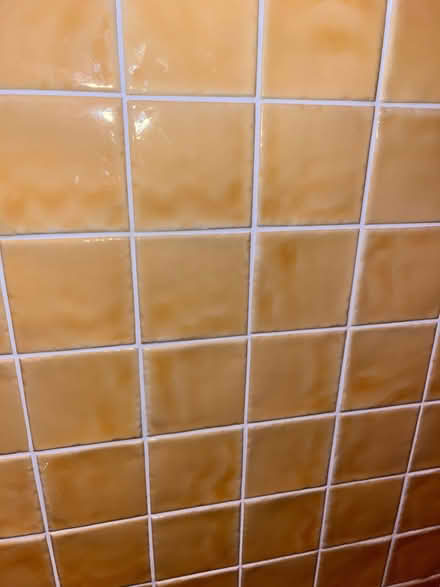 Photo of free Wall tiles (Roundhay LS8) #3