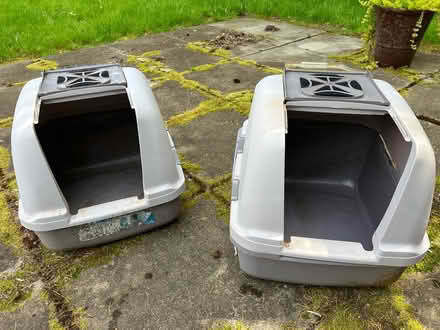 Photo of free Large, Covered Cat Litters (Crossroads) #3