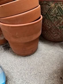 Photo of free Pots (Medium, small) (UES) #2