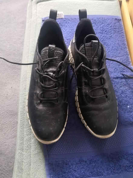 Photo of free Ecco shoes 7 1!2 (South Reading RG2) #1