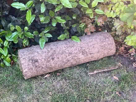 Photo of free New turf from Teal Turf (Upton-upon-Severn WR8) #1