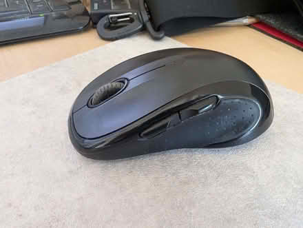 Photo of free Mouse (Beauchief S8) #1