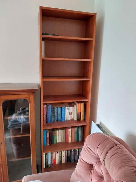 Photo of free Tall solid bookcase (Southborough TN4) #1