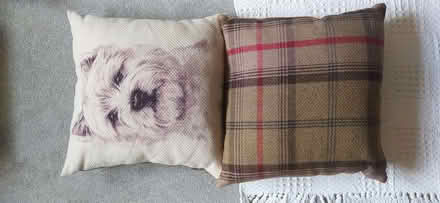 Photo of free Westie cushions x 2 (Dereham NR19) #1