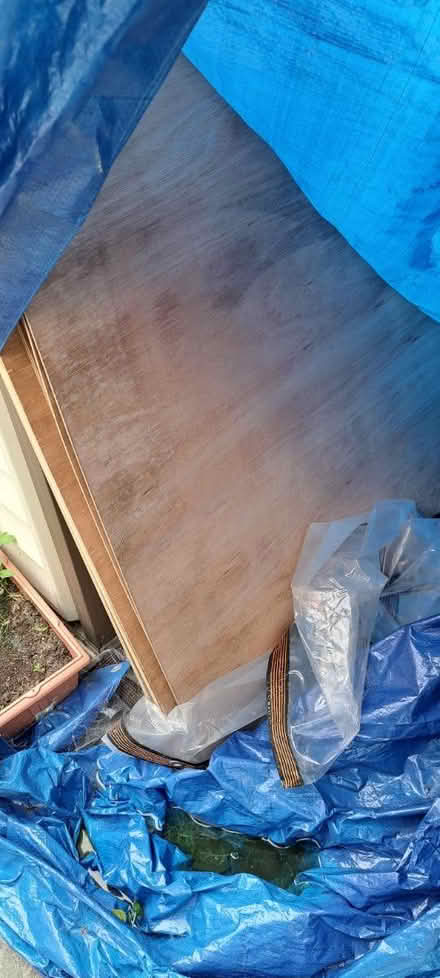 Photo of free Huge Wood sheets approx 8ft x 4ft (Anstey LE7) #3