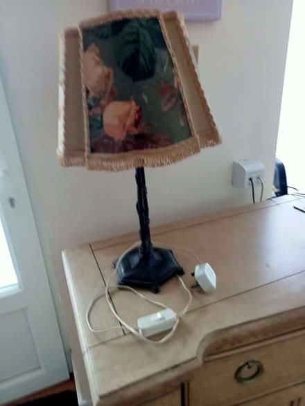 Photo of free Table lamp (Polegate BN26) #1