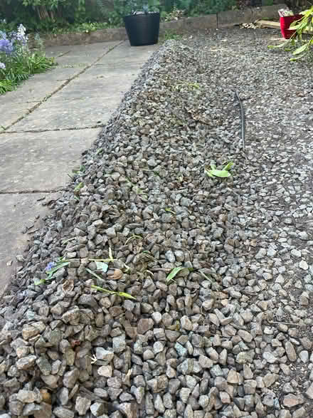 Photo of free gravel (stamford) #1