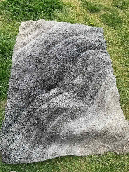 Photo of free Rug (Ipswich IP2) #1