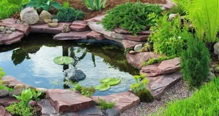 Photo of Pond liner and pond items (Birmingham Tyseley B11) #1