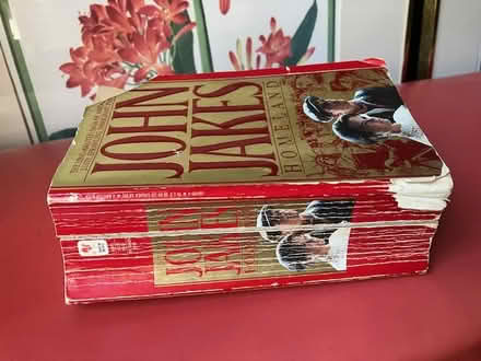Photo of free Novel Homeland (historical fiction) (south sunnyvale) #2