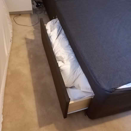 Photo of free Double divan bed - dark brown (CO11) #3