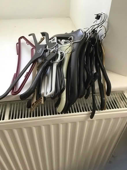 Photo of free Assorted coat hangers (Alderley Edge SK9) #1