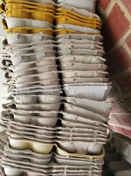 Photo of free Egg Cartons - All Kinds (Front Royal) #1