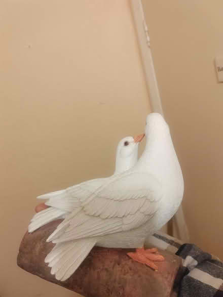 Photo of free Dove ornament (Whittlesey) #2