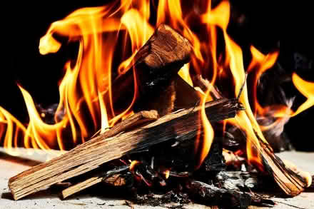 Photo of free Wood for burning (Reading RG2) #1