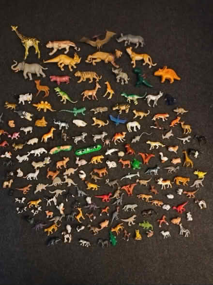 Photo of Toys (NG4) #4