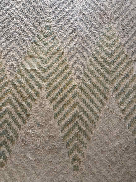 Photo of free 120 x 180 area rug (Limehouse E1) #1