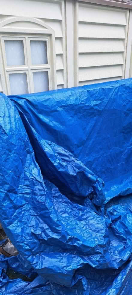 Photo of free Huge Wood sheets approx 8ft x 4ft (Anstey LE7) #2