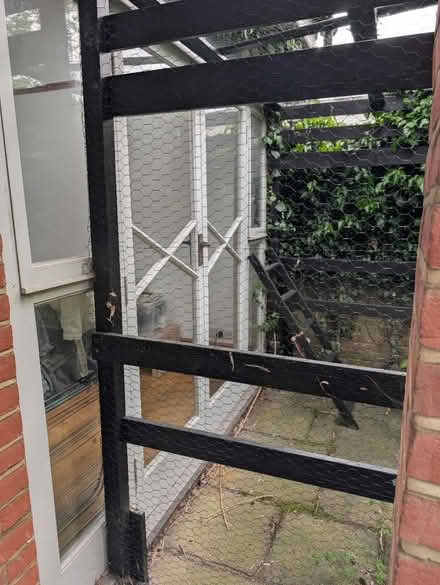 Photo of free Catio (NW11 Temple Fortune) #2