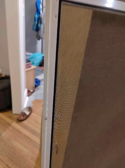 Photo of free Two window screens (Old Ottawa south) #2