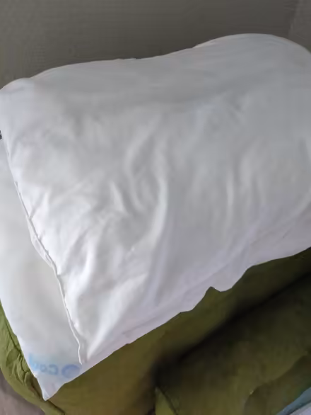 Photo of free Old pillows (West lake hills) #1