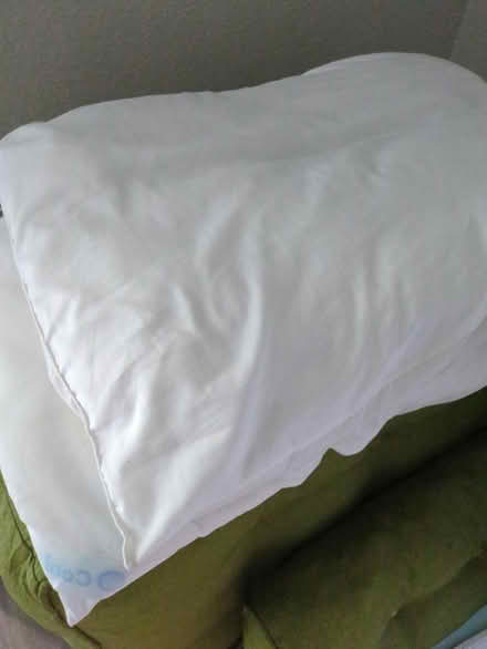 Photo of free Old pillows (West lake hills) #1