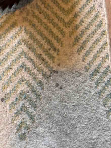 Photo of free 120 x 180 area rug (Limehouse E1) #2