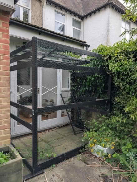 Photo of free Catio (NW11 Temple Fortune) #1