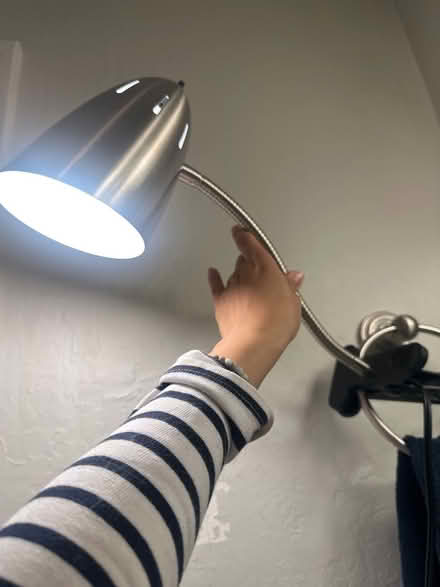 Photo of free Lamp (Alameda) #1
