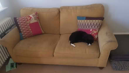 Photo of free Sofabed (SG76DB) #1