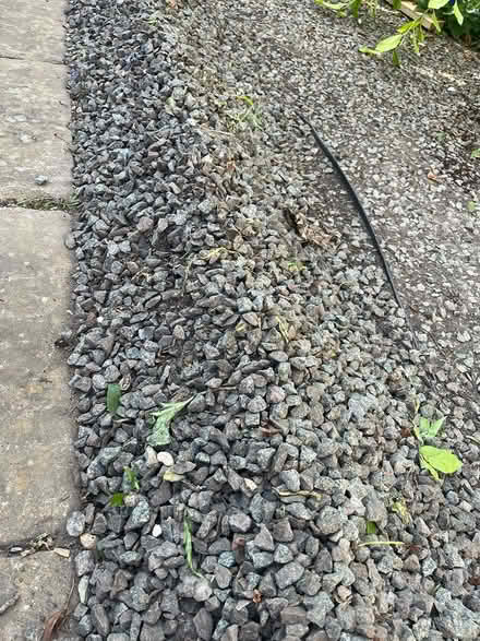 Photo of free gravel (stamford) #2