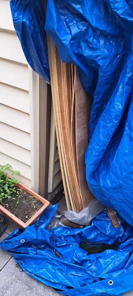 Photo of free Huge Wood sheets approx 8ft x 4ft (Anstey LE7) #1