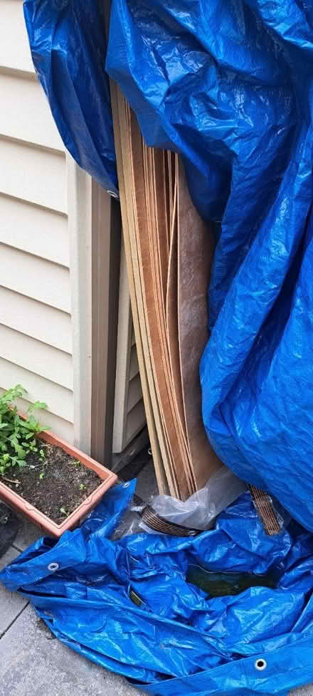 Photo of free Huge Wood sheets approx 8ft x 4ft (Anstey LE7) #1