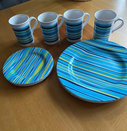 Photo of free Picnic plates and cups (Allesley Park) #1