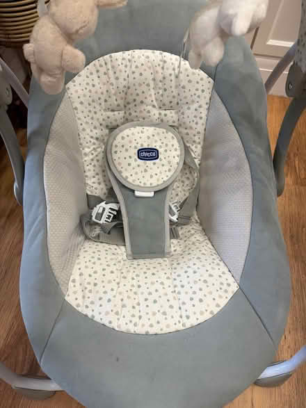Photo of free Baby swing (South Norwood SE25) #2