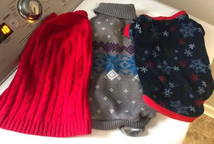 Photo of free Dog Clothes S/M (Scottish Hills) #1