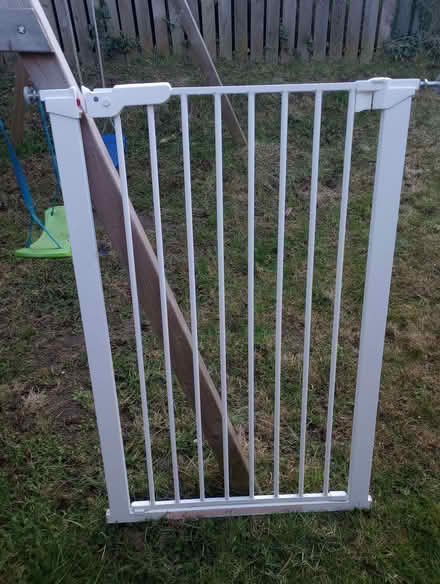 Photo of free Pet door gate (Kinghorn KY3) #1